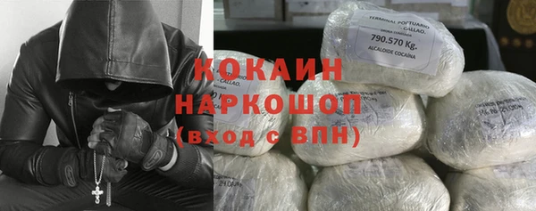 сатива Гусев