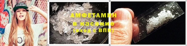 сатива Гусев