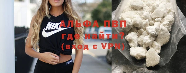 сатива Гусев