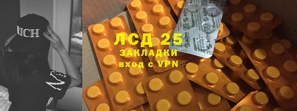 сатива Гусев