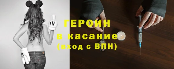 сатива Гусев