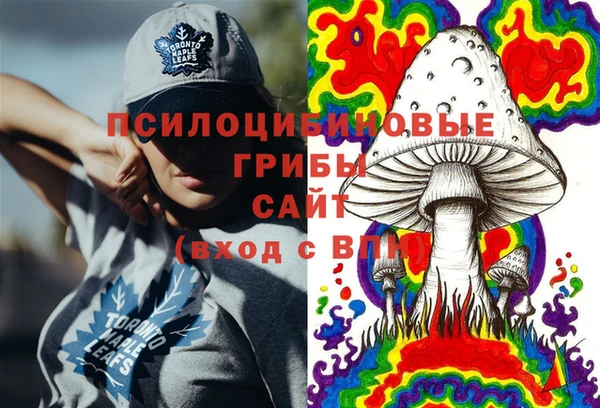 сатива Гусев