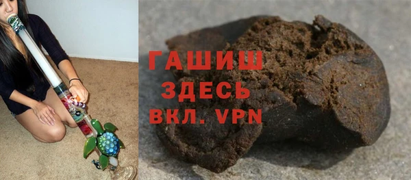 сатива Гусев